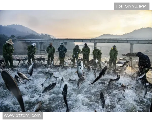 巴尔的摩与瓦纳明特激战正酣谁能在这场较量中笑到最后